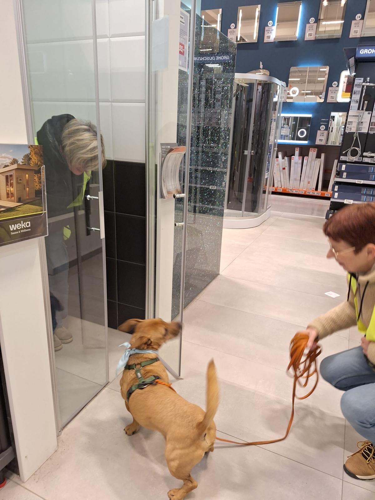 e773e1dc-eba4-4359-9f67-e8253c09ffc8