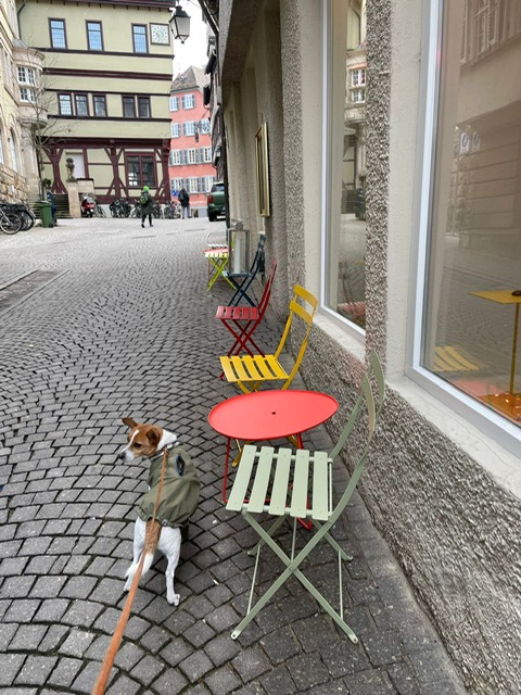 0ba9530e-5f27-46a7-bdba-92aba90f732c