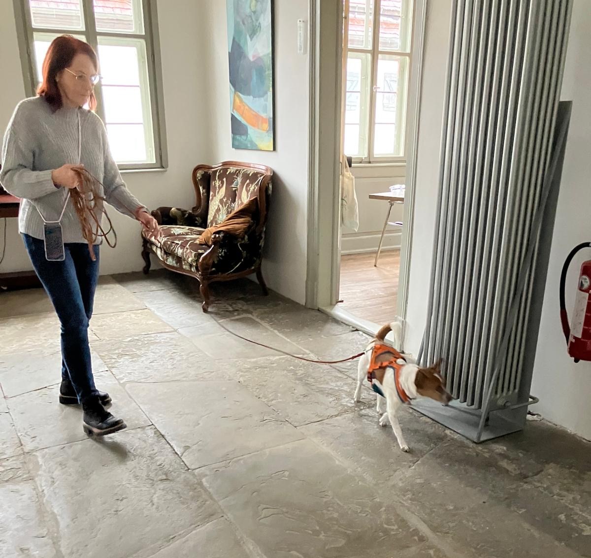 932d6108-a2e3-49b3-80eb-458c30886fb4