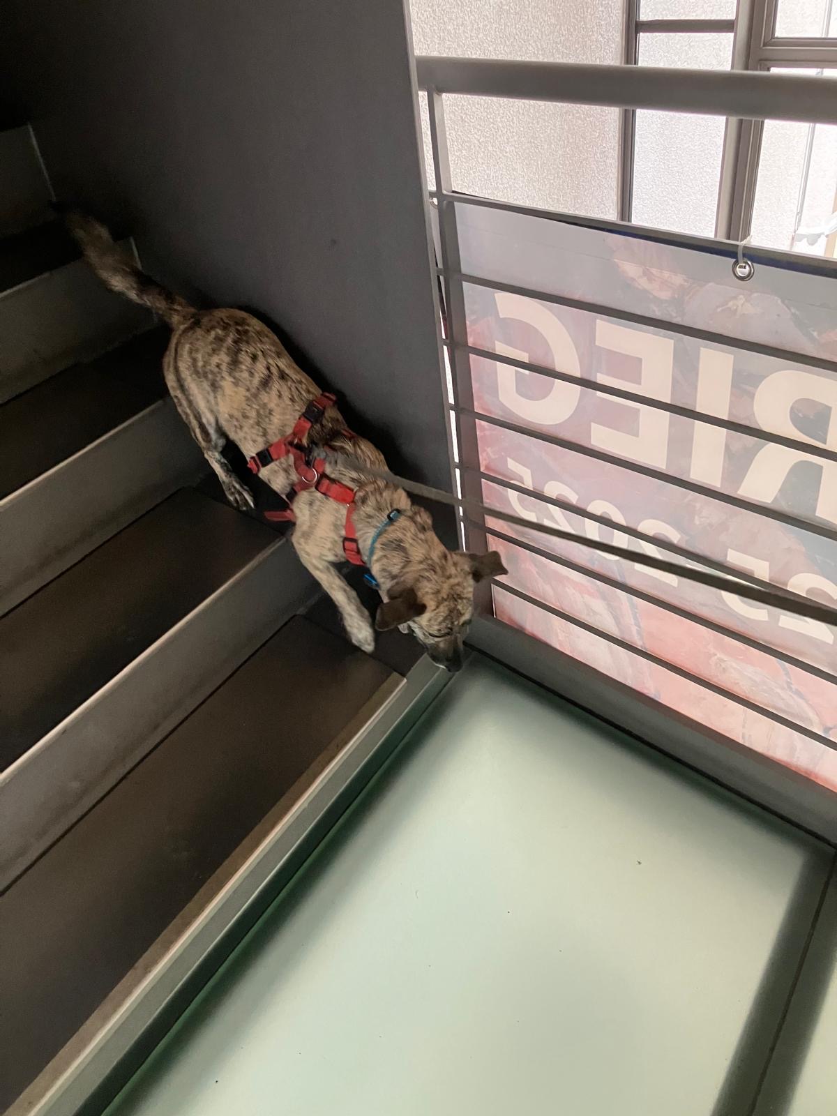 ae606806-e757-4e8f-9bcc-86e53d7a8d63