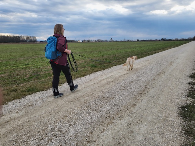 16ab1a9f-22a2-487a-b2bc-41ed99aecf41