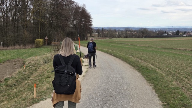 f37f978e-98c9-4c0a-b01c-eff813077330