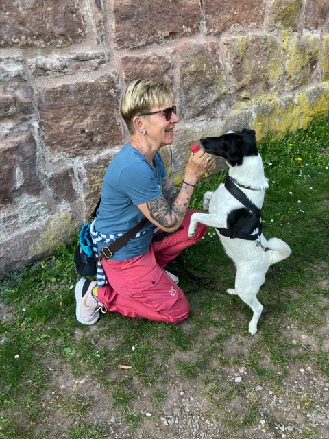 4a95c031-fb73-4a7c-8b5c-cfa795e8f58c