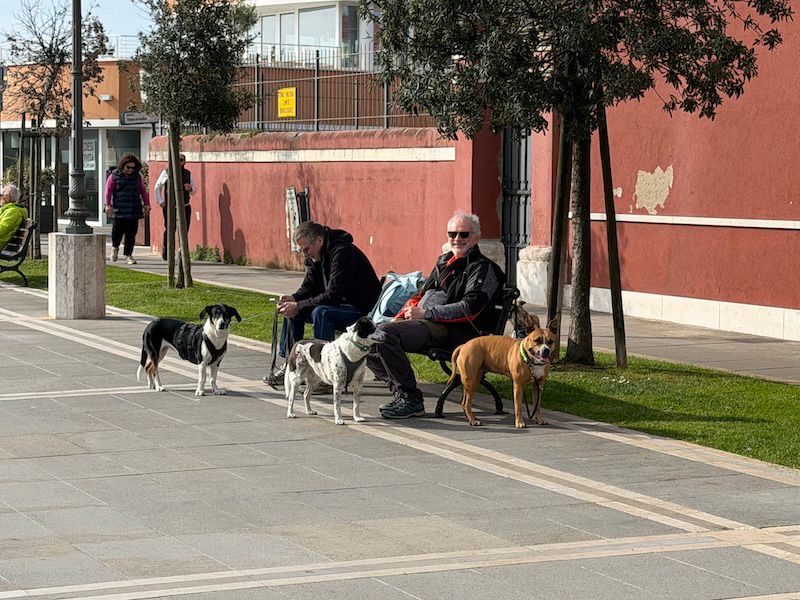 6a1acad4-0453-455b-b40c-e035a72956c3