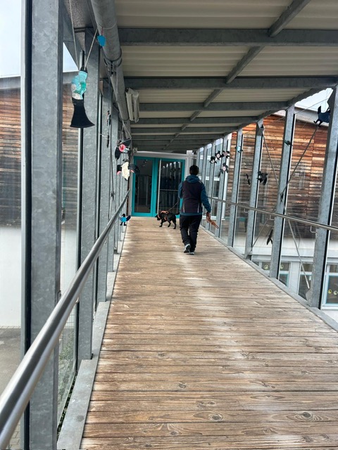 874d86ff-ba6a-4c82-aa0a-4577f6e28ccf