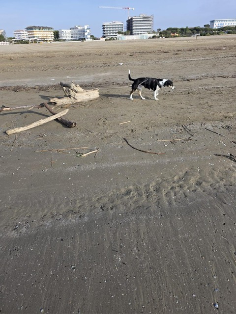 a3ee62a2-3fbc-4544-8ce9-e12bf53b3366