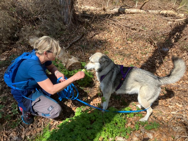 c1a98dbc-14bf-46bb-88ad-8f8541d78ab1