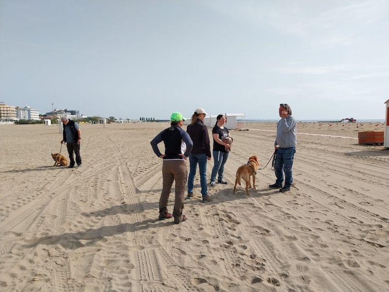 c3d60ffa-c338-4729-9e3c-5d103318cc44