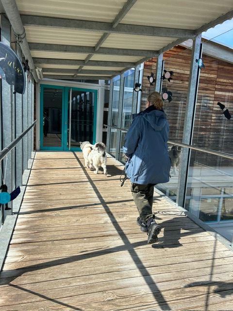 e460bf3b-b030-4c82-87eb-5f99e89496d5