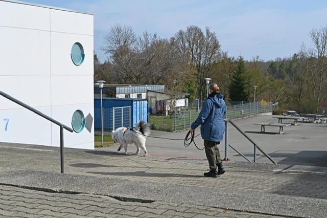 f6be91b2-d669-46b9-be76-9d65d4cdc3e4